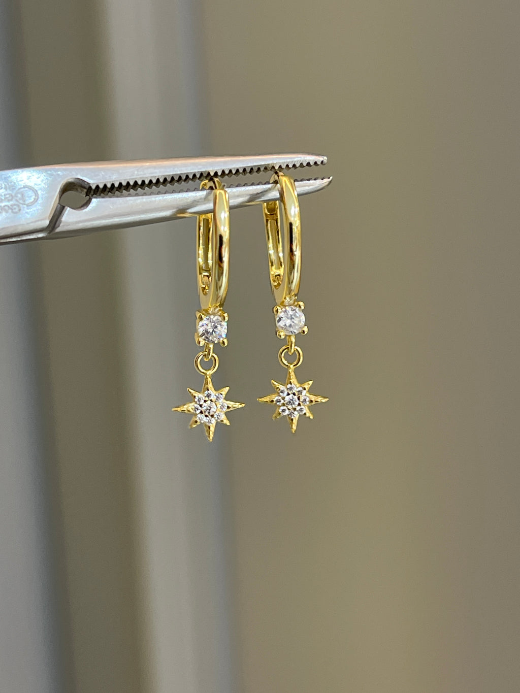 Becca Notte Earrings