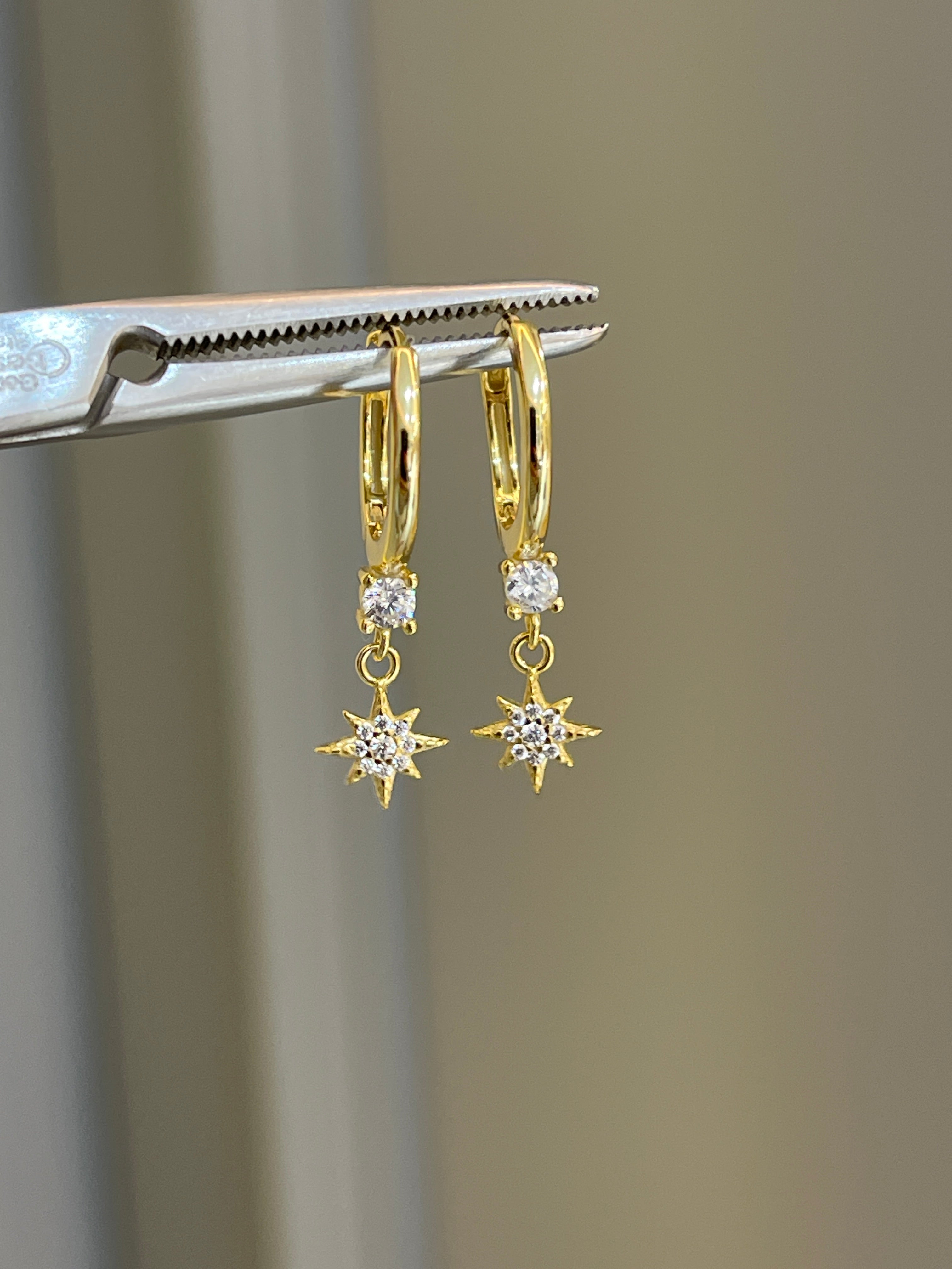 Becca Notte Earrings