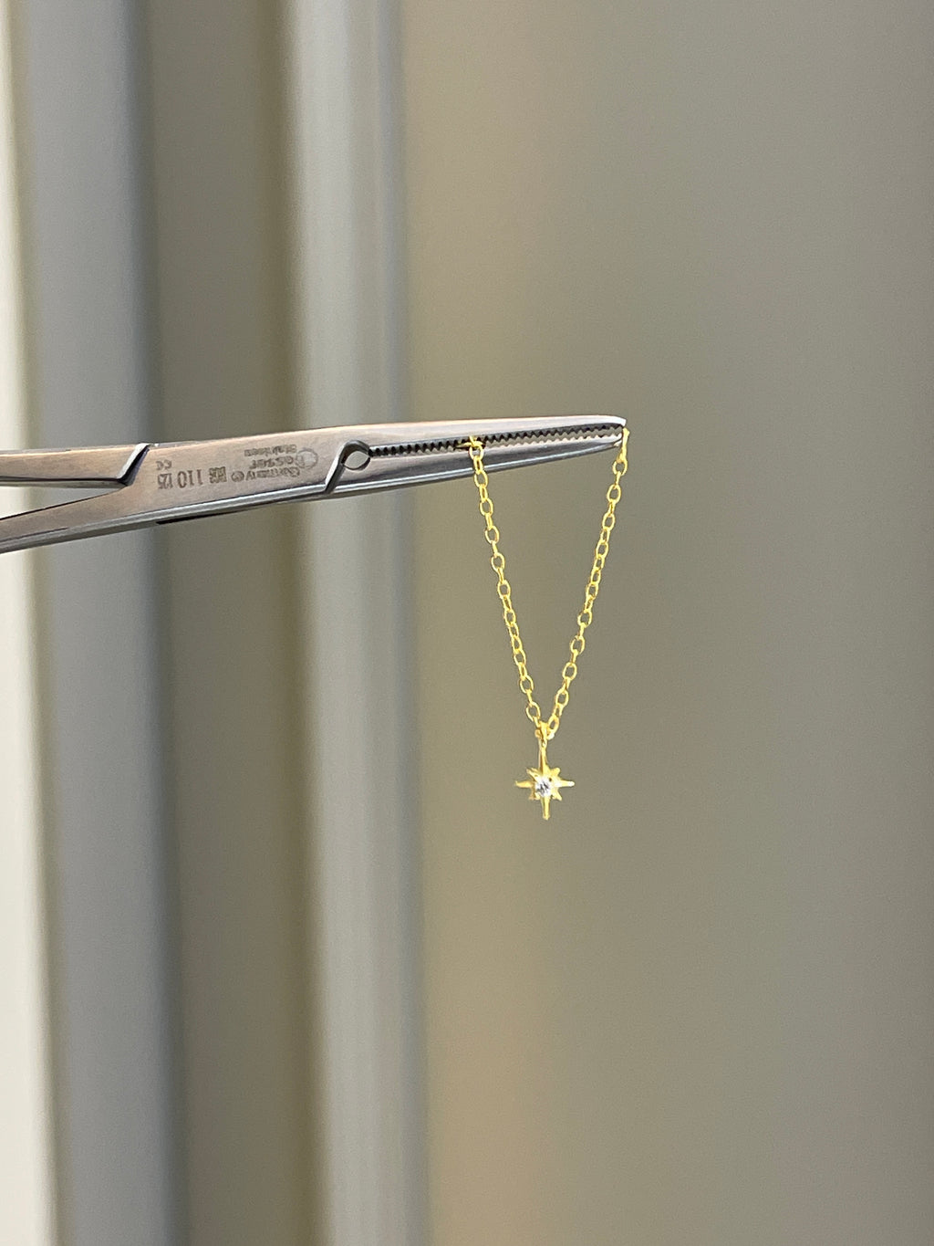 Parker 12 Earring Charm