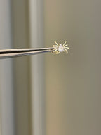 Becca Spider Earrings