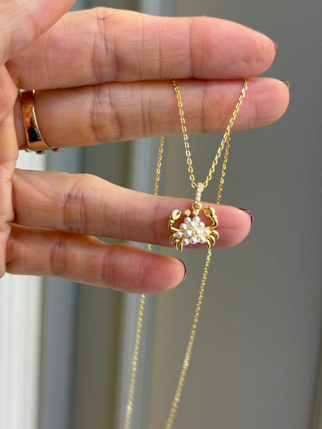 Minimal Yengeç Detaylı Gümüş Kolye