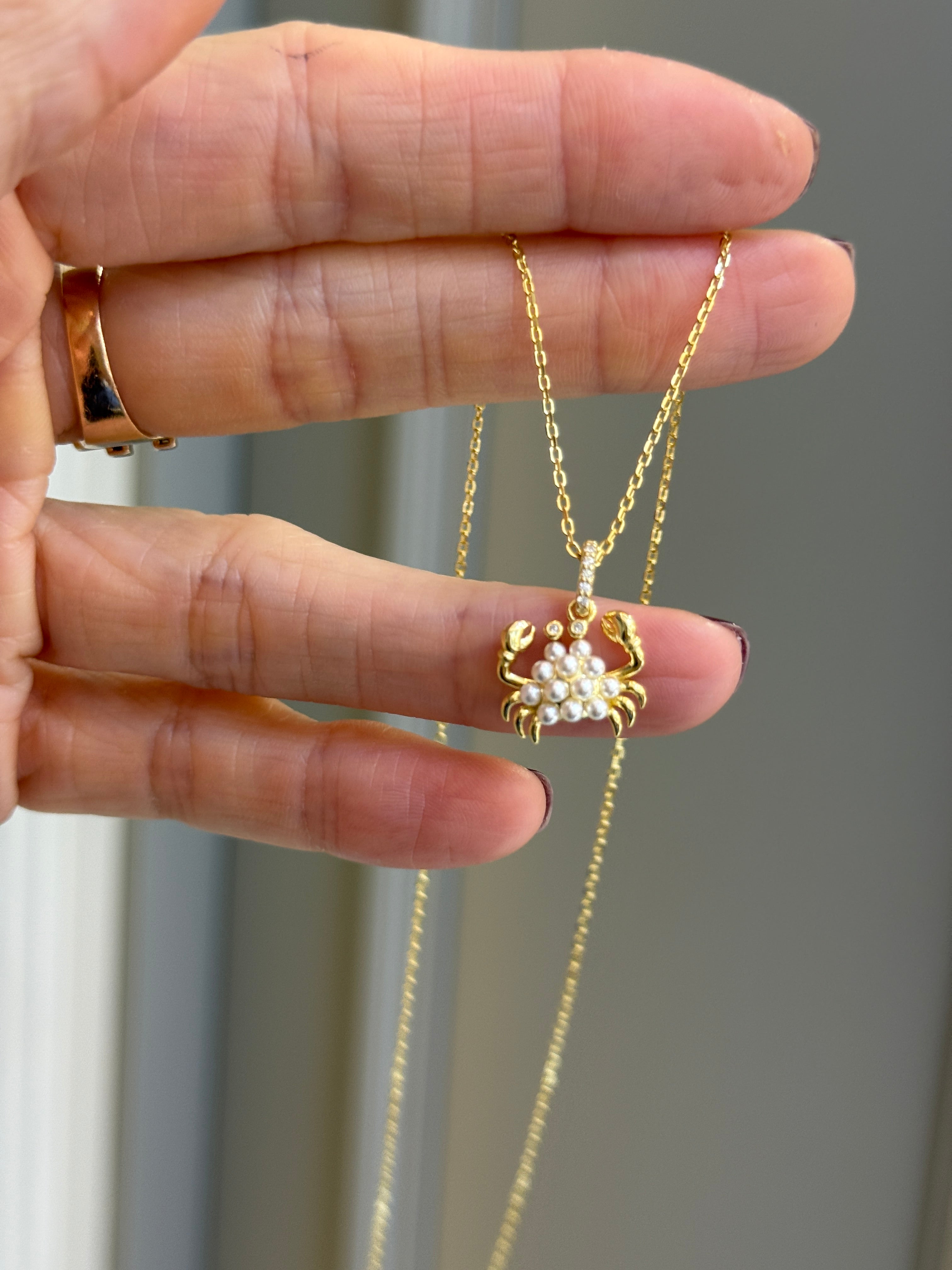 Minimal Yengeç Detaylı Gümüş Kolye