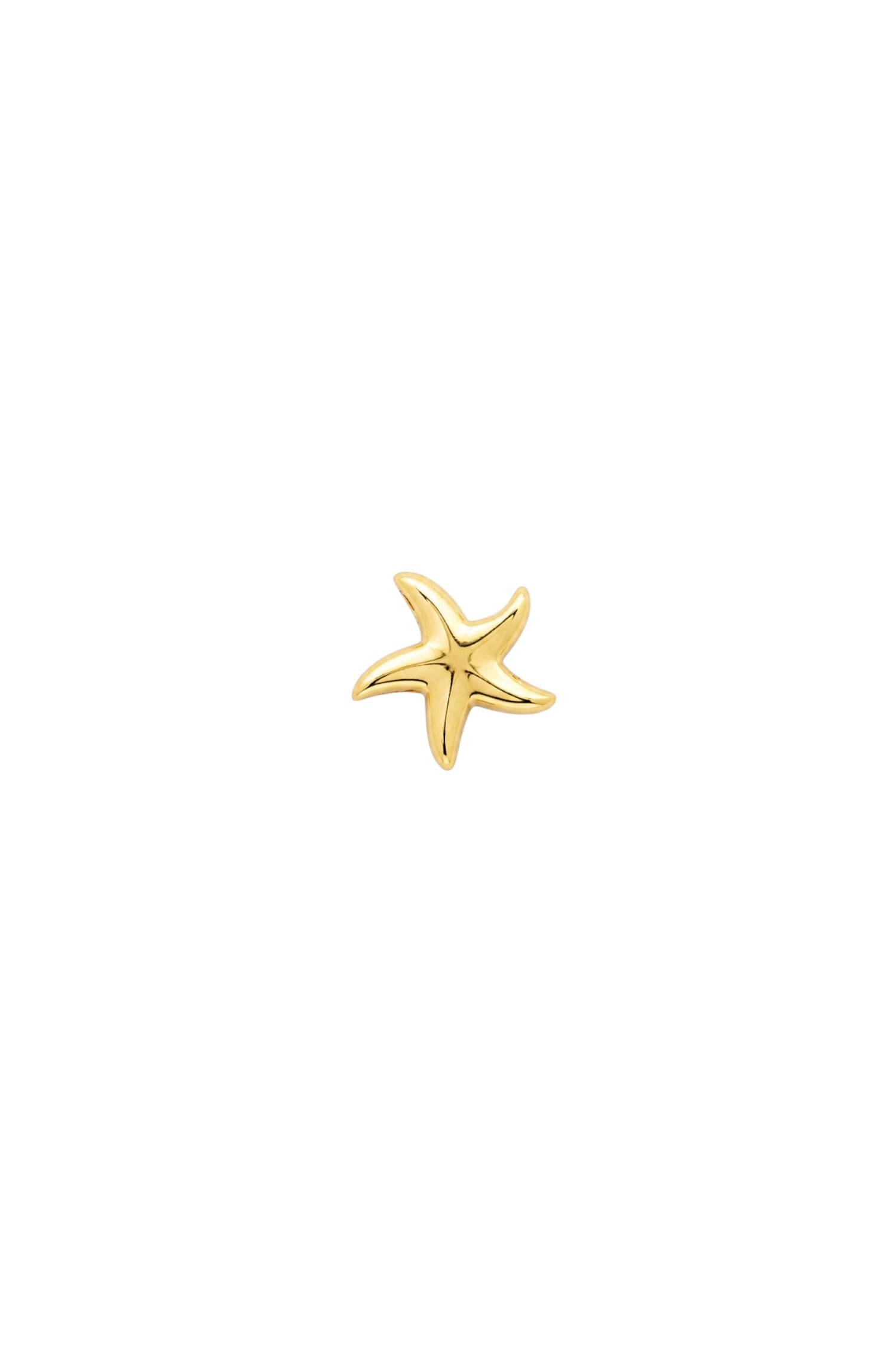 Charm Deniz Yıldızı