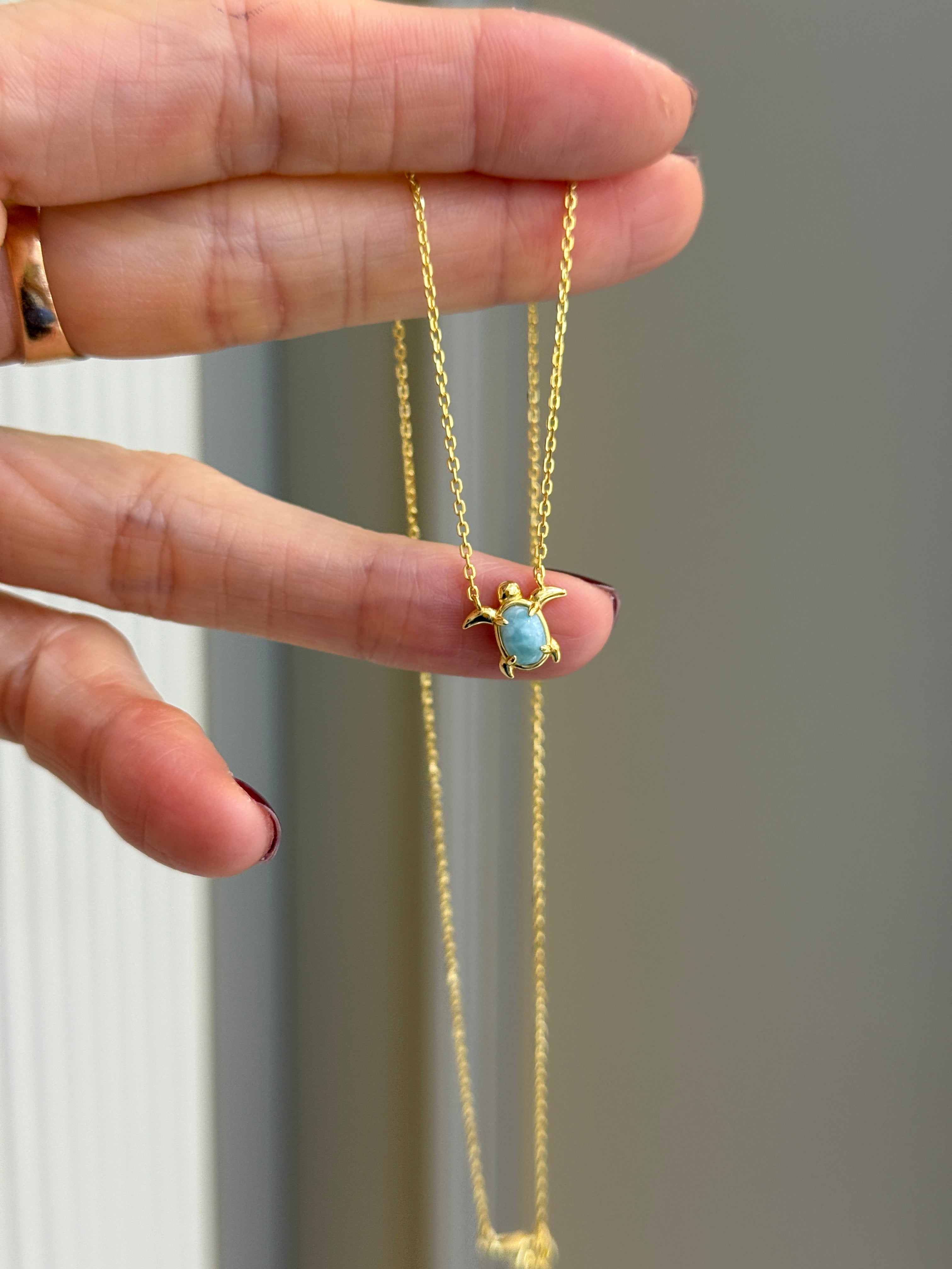 Minimal Kaplumbağ Detaylı Gümüş Kolye