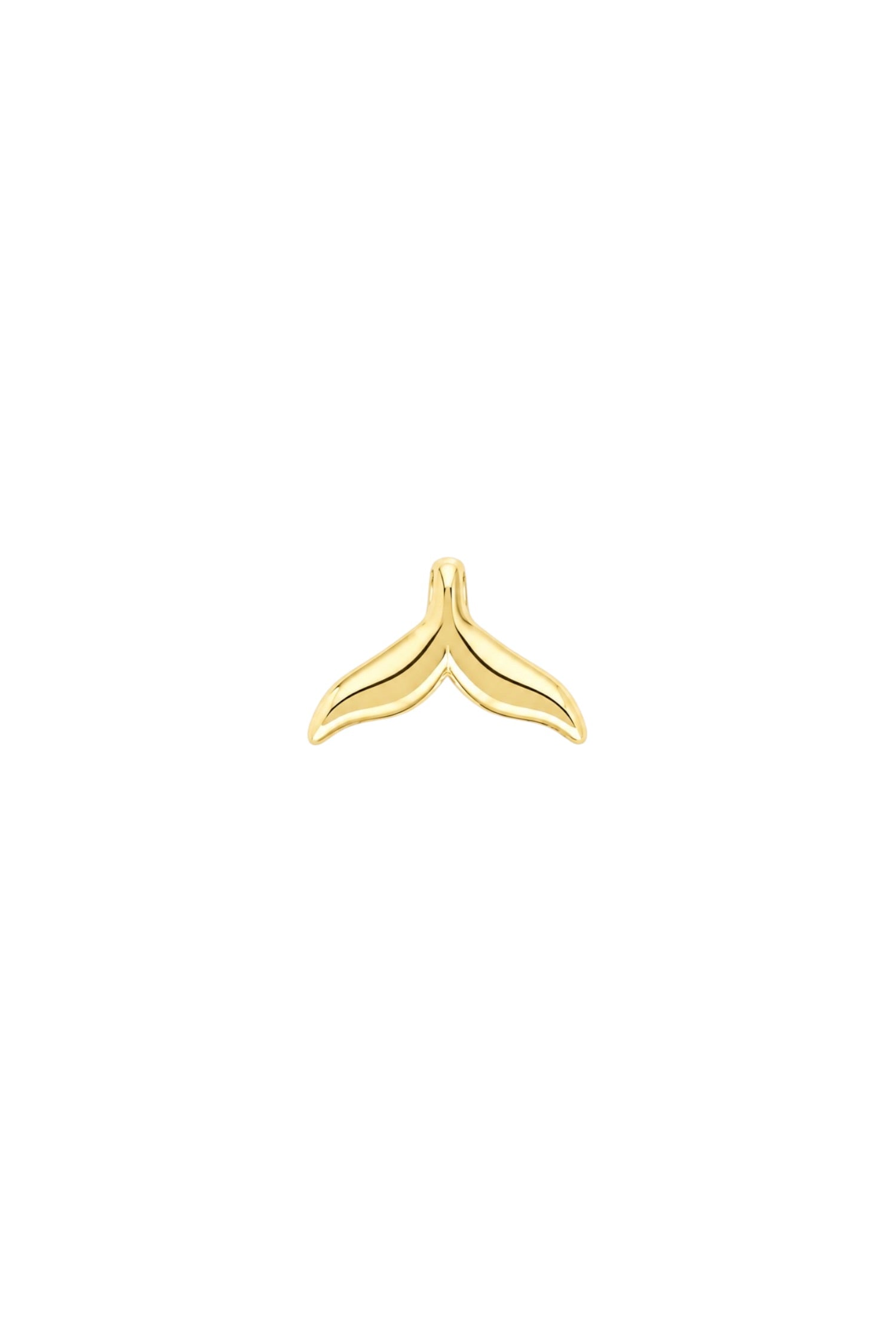 Charm Yunus