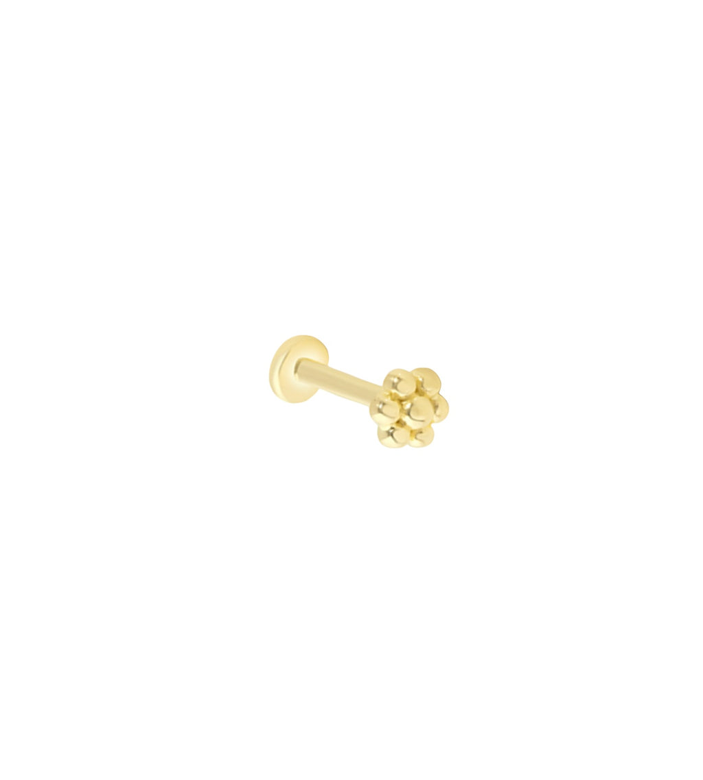 Dora Flower 14k Piercing