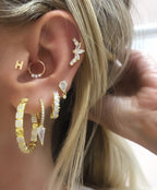 Ice Cris Nw Earrings
