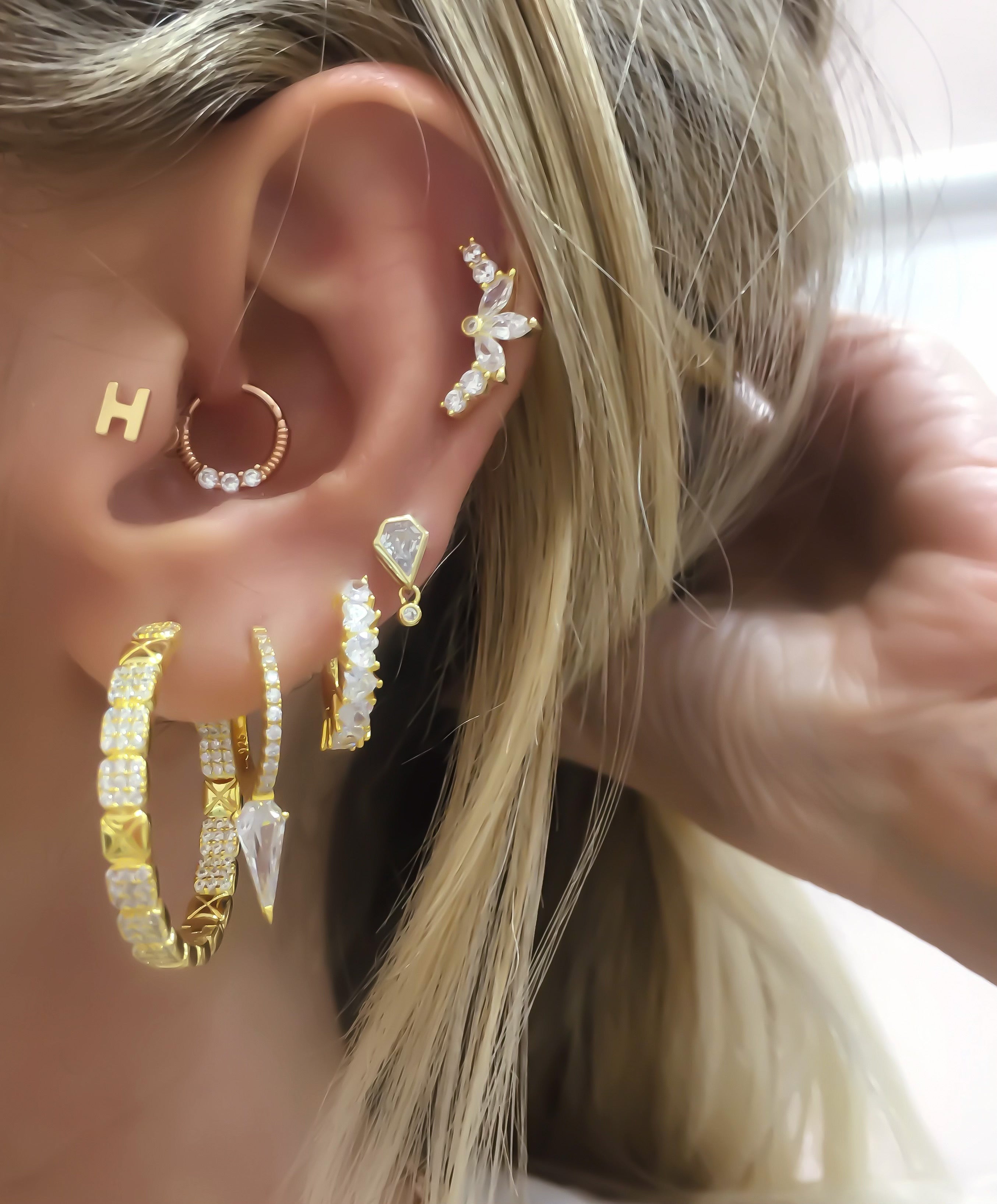 Ice Cris Nw Earrings
